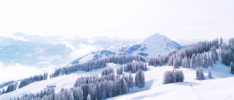 Elevating your experience