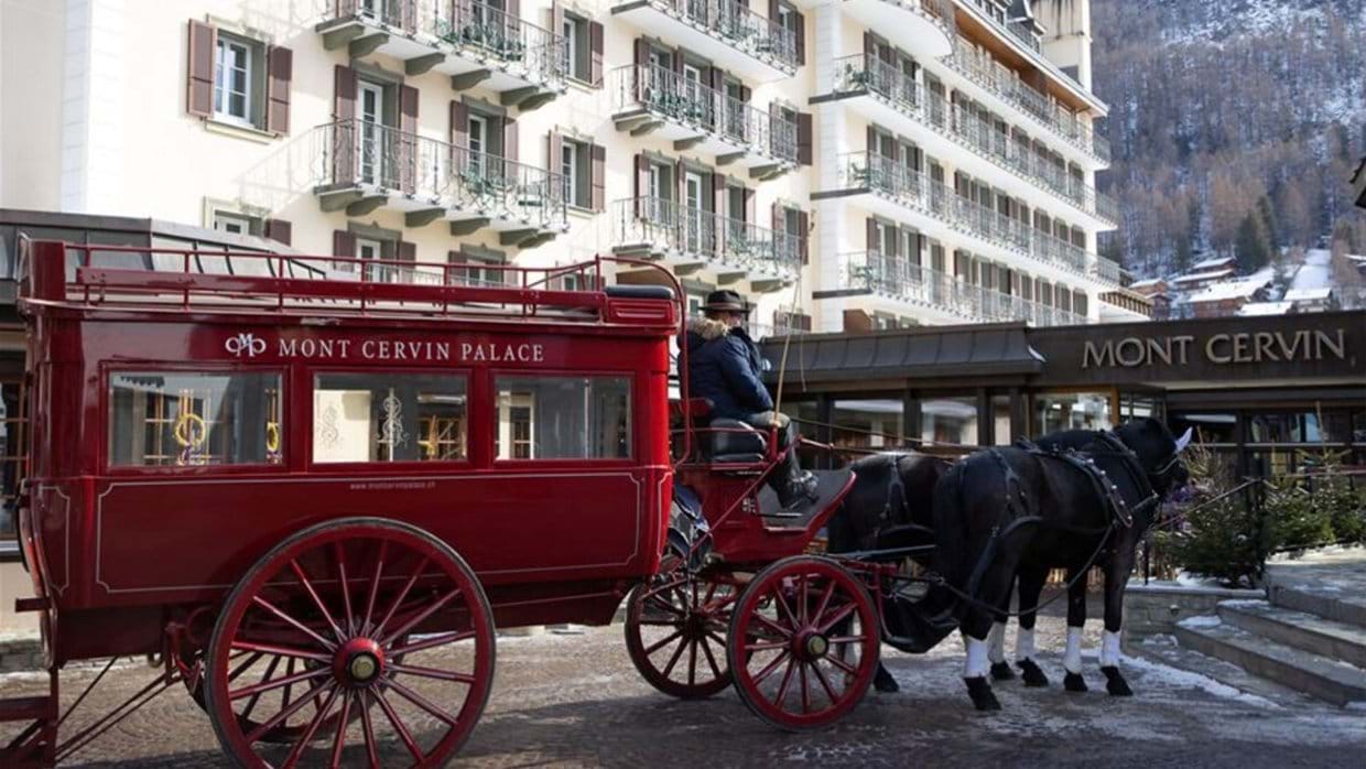 Horse and Cart - Resized.JPG