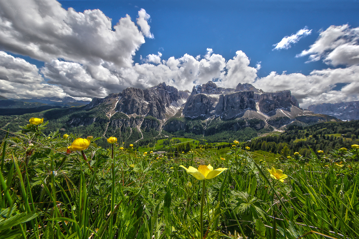 Alta Badia: Summer Resort, Chalet and Hotel Guide