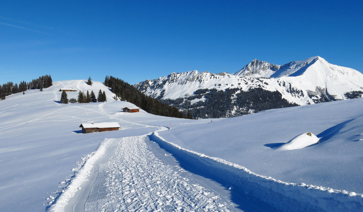 snowy meadow with peaks in the difference, with a ploughed path.