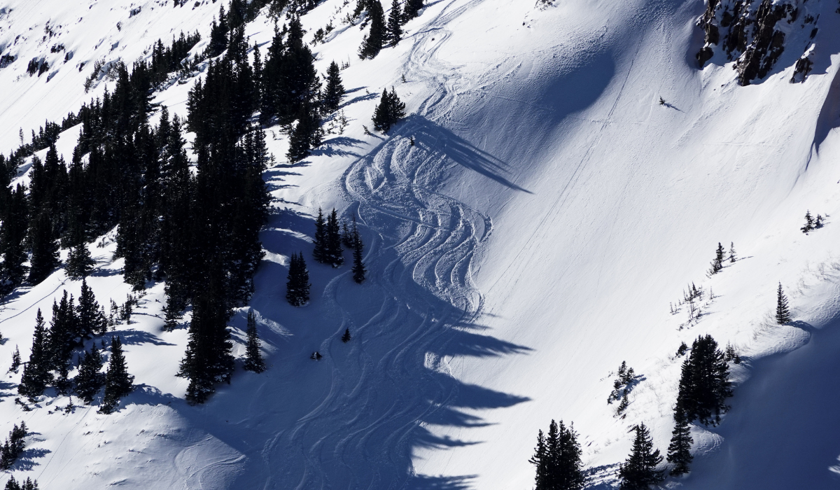 White snowy, steep hillside with dark trees dotted around. Carved ski tracks in the pristine snow.