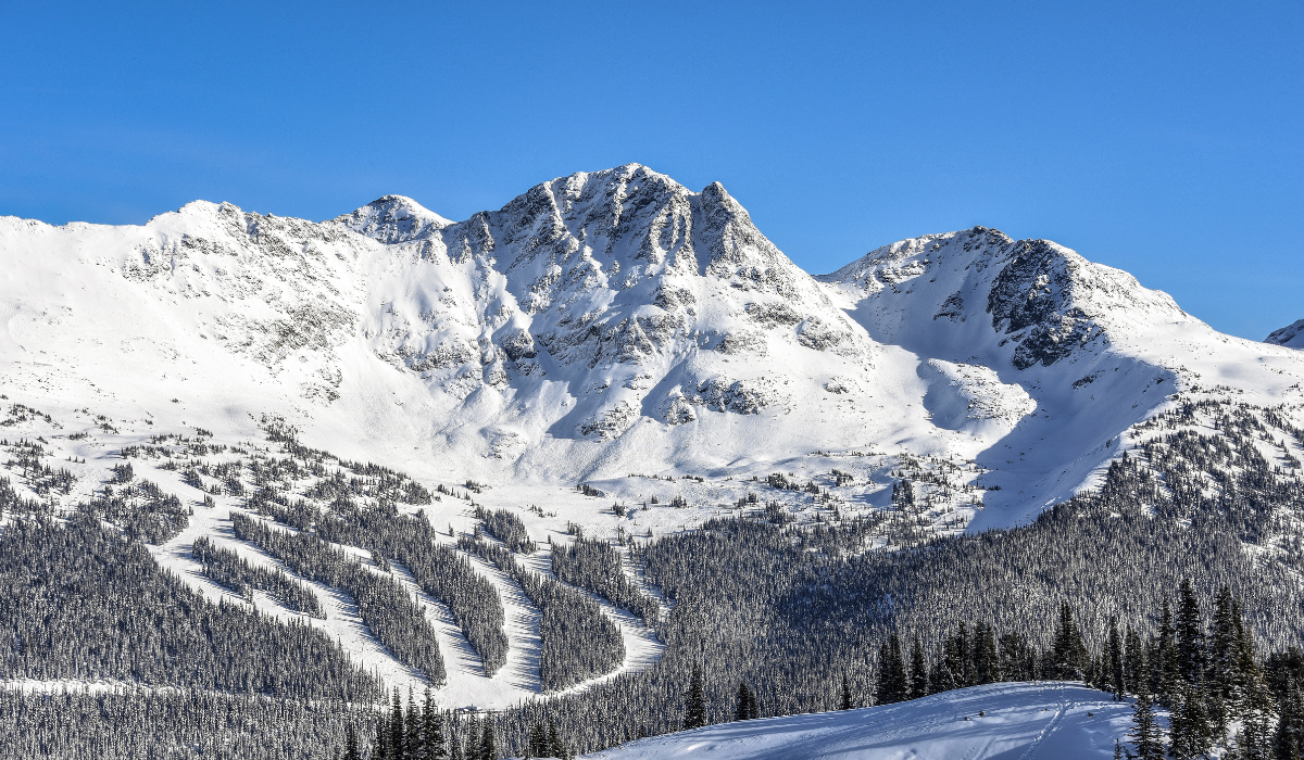 blue ski and white mountain with alpine trees at the bottom, lines marked through the trees for ski runs.